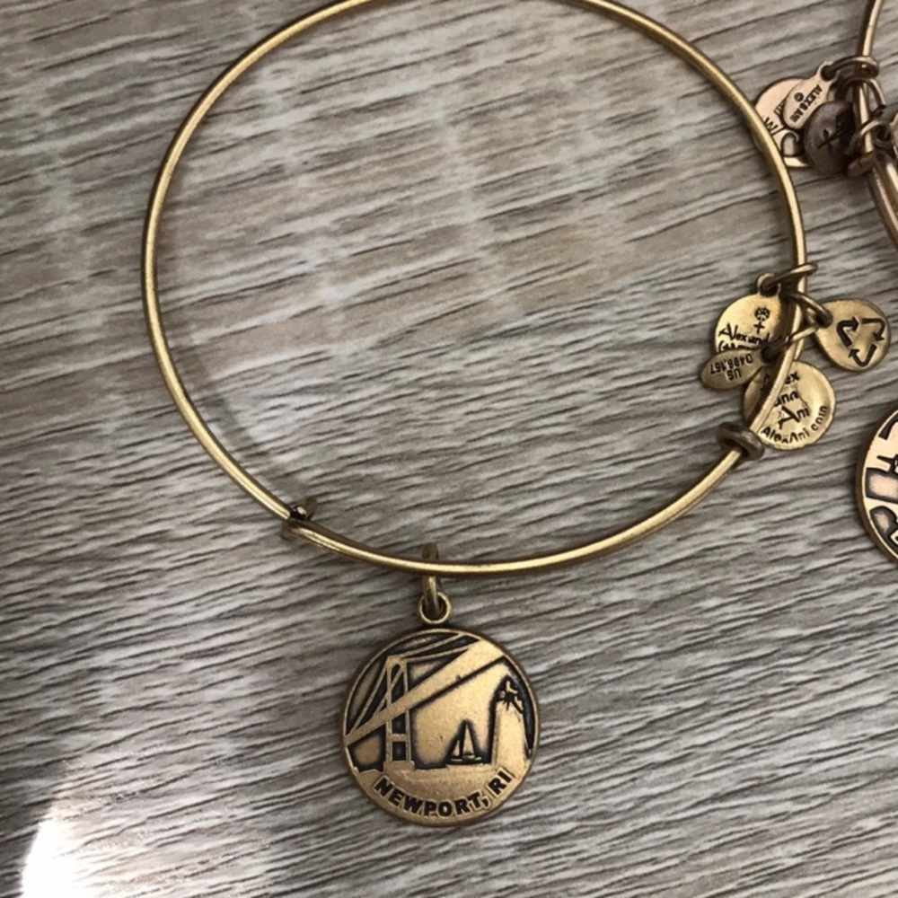 Alex and Ani Bangle